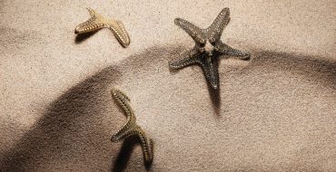 Украшение дизайна интерьера детали имеют значение