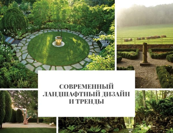 Современный ландшафтный дизайн и тренды